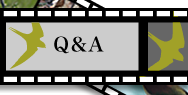 Q&A