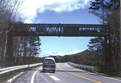 ���}�l�u���b�W�ʐ^