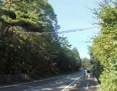 �A�j�}���p�X�E�F�C�ʐ^